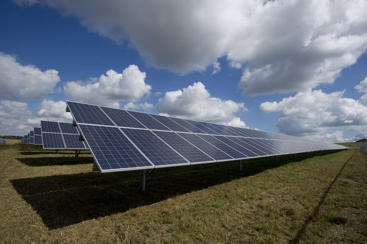 Shaping a sustainable energy ecosystem